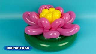 Lotus, Water lily of balloons