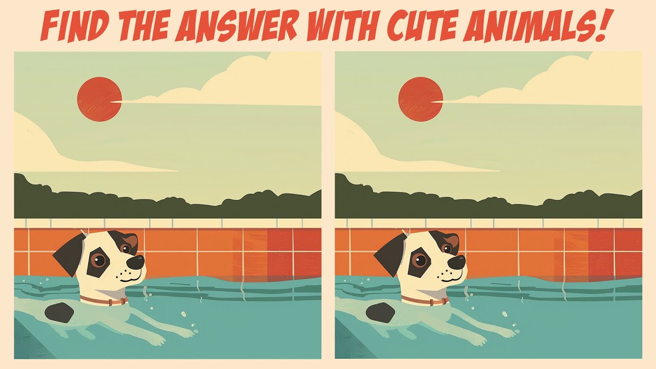 [Spot The Difference] Let's find the answer with cute animals! - YouTube