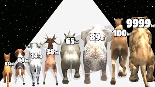 Animal Run Transform Evolution - Level Up Animal Max Level Gameplay