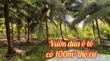 T. 267 - Vườn dừa có 100m² thổ đường ô tô giá rẻ | xã Hữu Đạo, Châu Thành, Tiền Giang