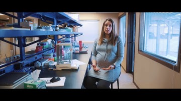 How Much DHA Needed is Unique to Each Person