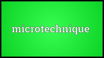 Microtechnique Meaning