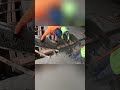 Concrete Pouring Action: Construction Site Workers in Full Swing! #shorts