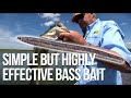 Bass facts