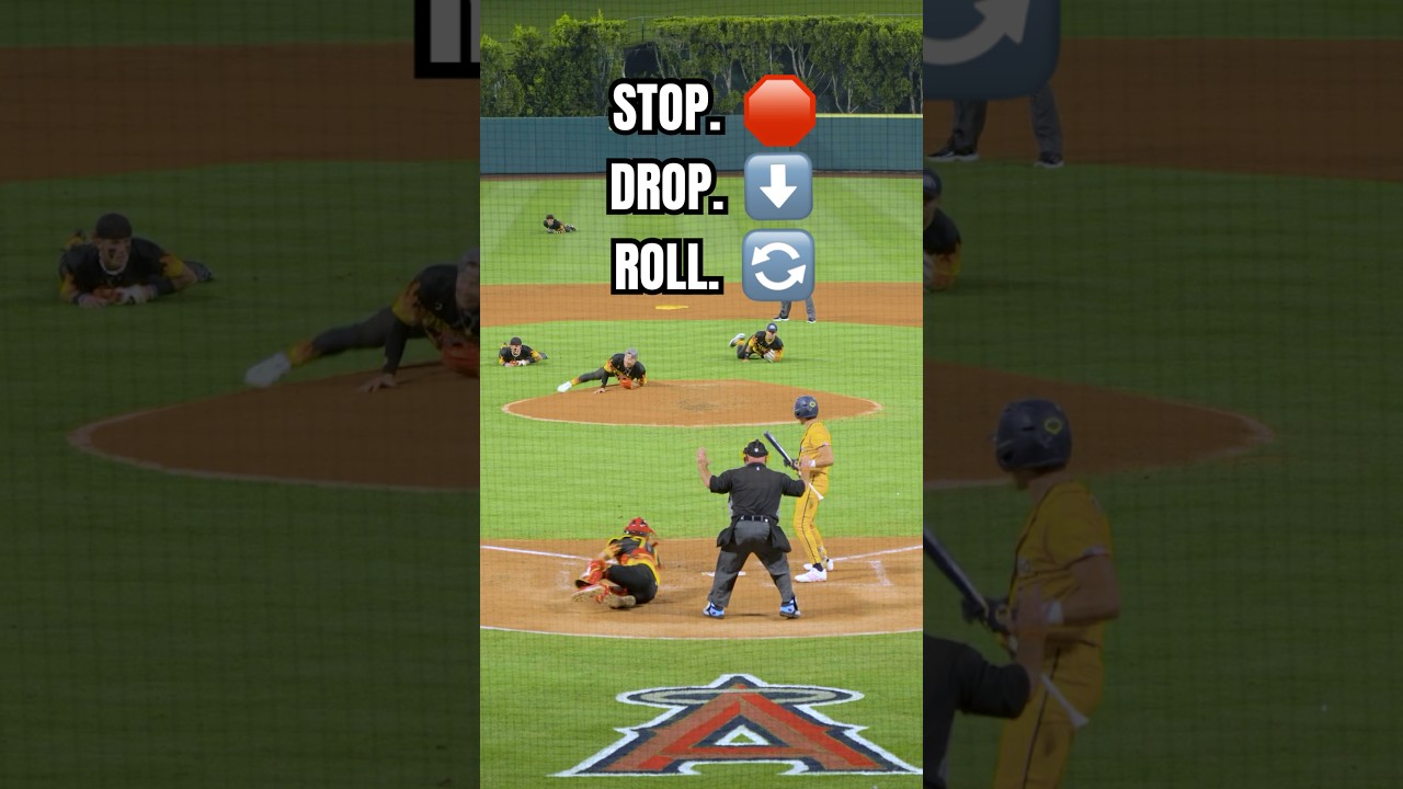 Ты знаешь, что делать. СТОП! БРОСЬ! КАТИСЬ! 