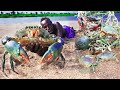 GIANT SEA CRABS HUNTING| அசுர பச்சை கலி நண்டு வேட்டை |COOKING BIG CRABS |Village Grandpa Catch Crabs