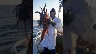 Odd Creatures Found..