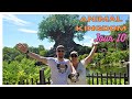 Vlog Floride 2023 #10 - WALT  DISNEY WORLD  - ANIMAL KINGDOM 🦁
