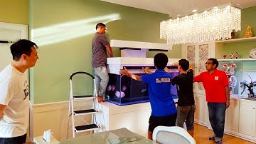 Pom ชิดลม - เปลี่ยนตู้เลี้ยงปลาปอมเป็นตู้ปลามังกรแดงพร้อม O4FS Set 2