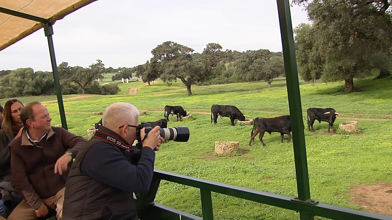 TURISMO EN FINCAS GANADERAS DE TORO BRAVO