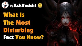 What Is The Most Disturbing Fact You Know?