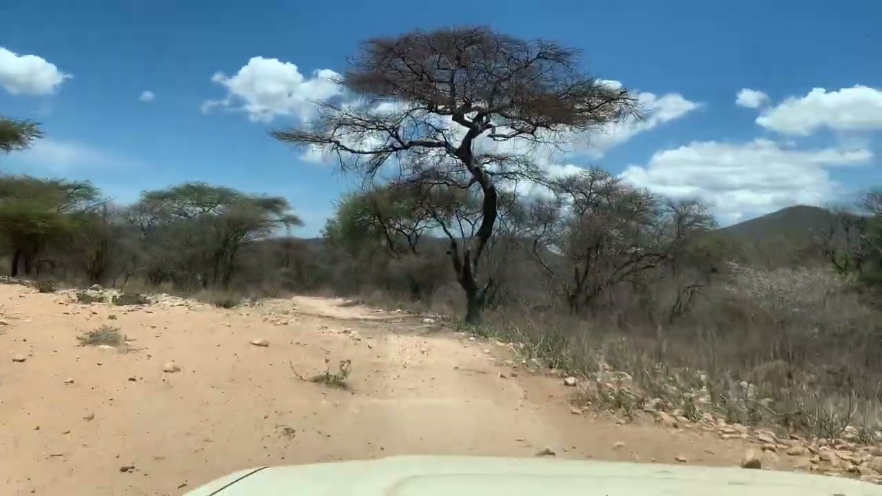 Driving Through Tanzania’s Countryside – Dirt Road POV