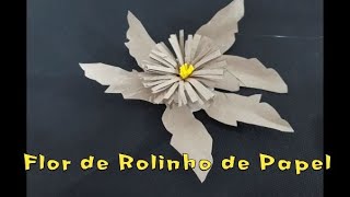 Flor de Rolinho de Papel Higiênico 12