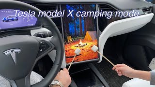 Camping and roasting marshmallows in our Tesla model X.  Camp mode and custom fit mattress.