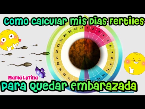 Calculadora para saber mis dias fertiles para quedar embarazada