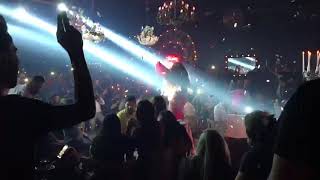 Dalida Belly Dancer