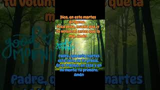 #buenosdias #goodmorning #bendiciones 💚🤍♥️🙏🏻🙏🏻🙂