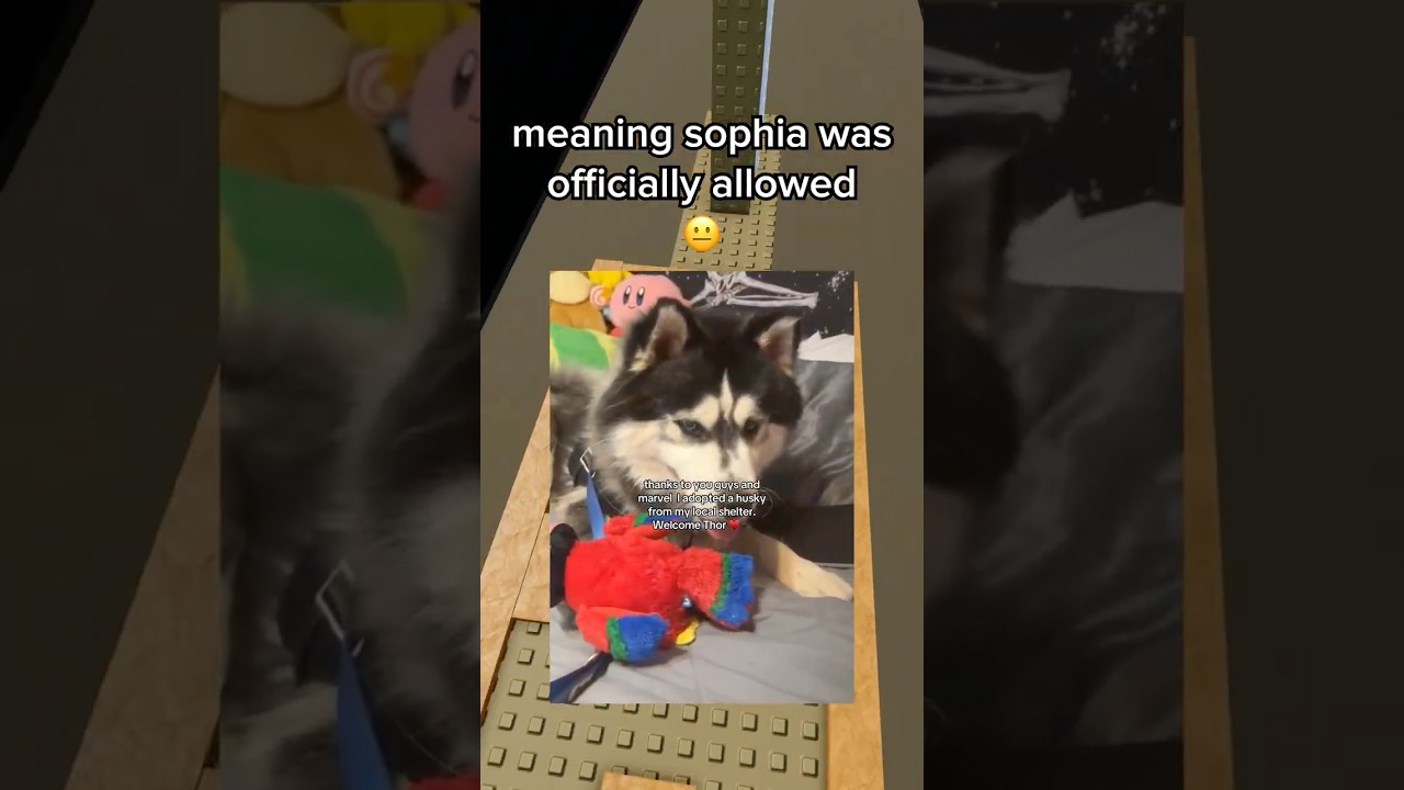 Marvel Helped Her Get a Dog 😭🙏 #roblox #robloxrant #rblx #relatable #rorants