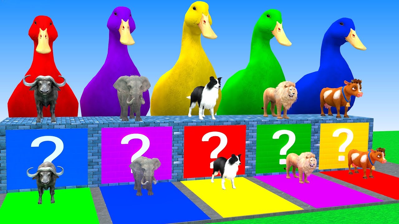 Long Slide Game With Elephant Buffalo Dog Lion Cow Hippopotamus 3d Animal Game Funny 3d Animals