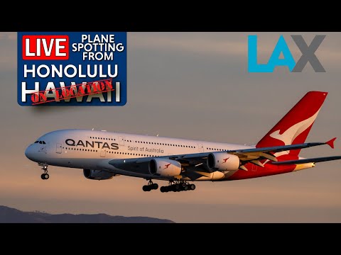 Live Planespotting at LAX | Real-Time Arrivals & Departures! Sept 11 2025