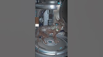 Warframe | Pintando Meu Kavat | #shorts