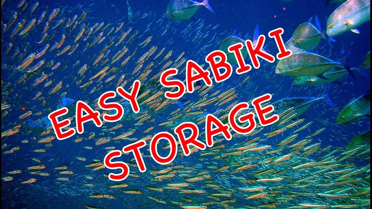 EASY SABIKI RIG STORAGE (how to store and save Sabiki rigs) 