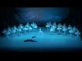 Swan Lake - Borchenko & Lebedev - Mikhailovsky ballet