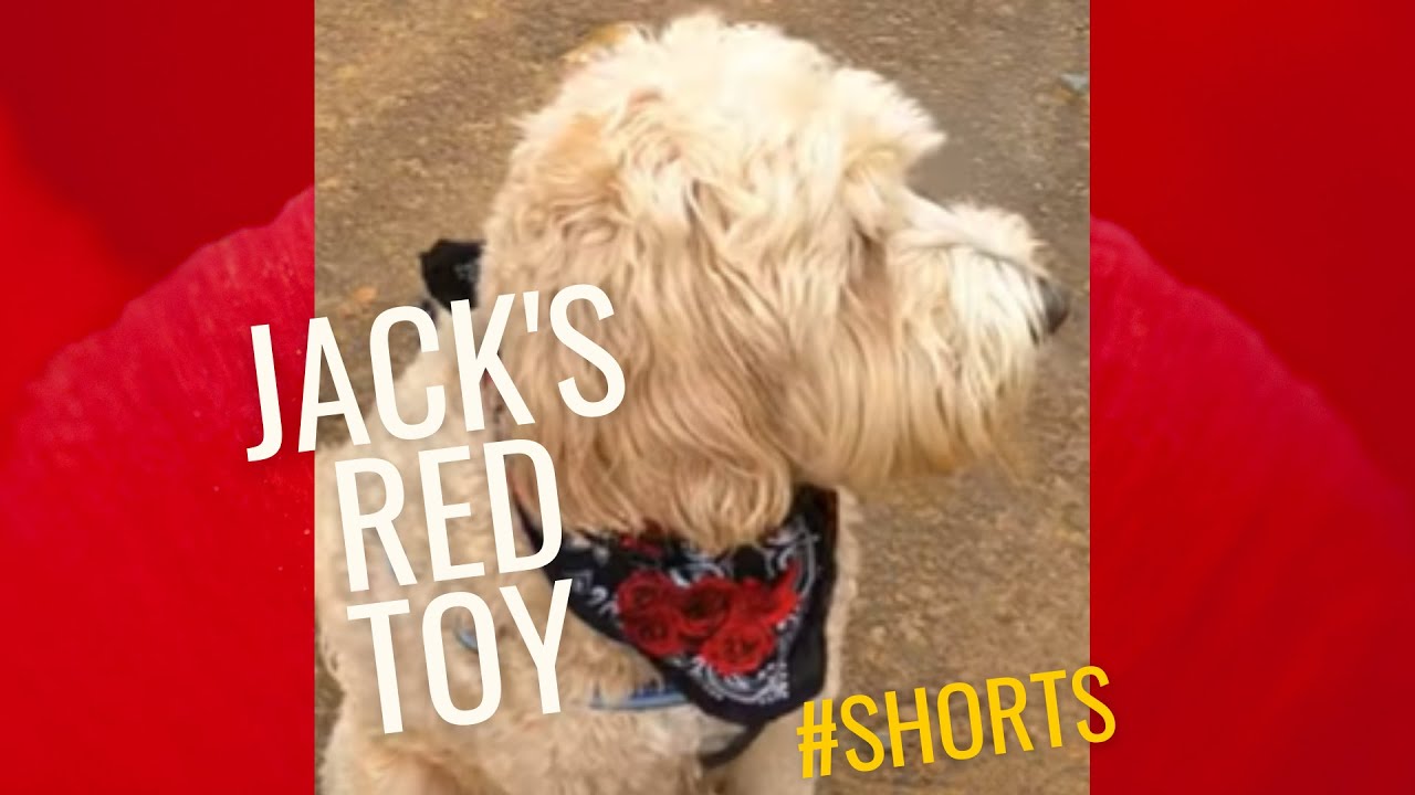 JACK and His Red Toy 