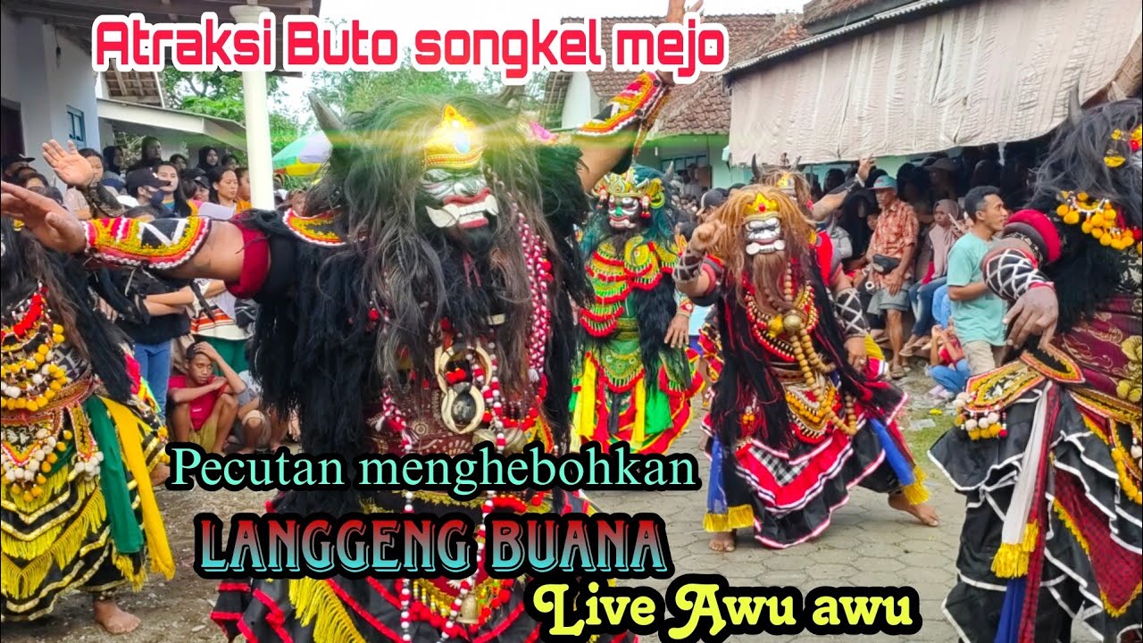 Buto2 Songkel mejo los pecutan fuel pecutan meng heboh kan🔥Live Awu Awu sempu