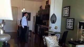 Desoto Town Center -1bd  (Desoto)