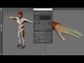 Maya 2020: Quick Rig + Attach Hands