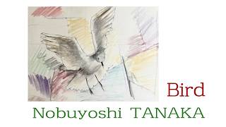【GUMI】Nobuyoshi TANAKA: Bird