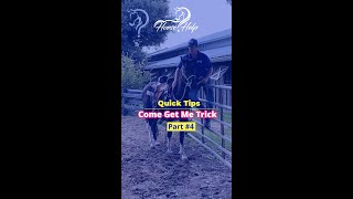 Come Get Me Trick! Part 4! | The Horse Guru-Michael Gascon