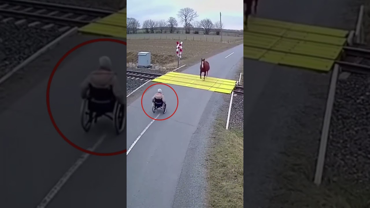 This horse 🤯. #animals #viral #crazy - YouTube