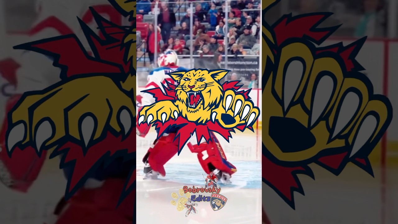 Moncton Wildcats🔛🔝 