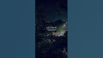 #معاذ_العيد‏‎السورة 📖 النمل