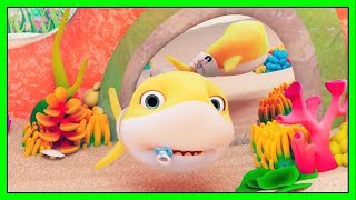 Shark Lost His Fin | Baby Shark & Friends + More Nursery Rhymes & Kids Songs | Cartoons for Kids