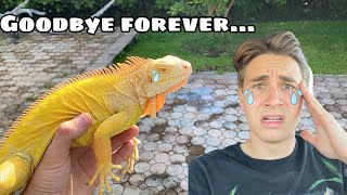 ALL REPTILES BANNED IN FL ?! WHAT NOW ?? by Jacob Feder 82,534 views 2 months ago 14 minutes, 33 seconds