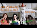 (ENG) 소녀시대 수영 티파니 와 저녁 식사 ~사랑스런 디너타임