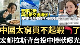 中國太窮買不起🦐宏都拉斯曝慘狀｜日本奶奶來台見日本建設「說這話」感動台灣人｜美籍中裔在台與家人說英文 竟被路過老粉紅嗆｜田馥甄喊「同心」赴中慘遭粉紅抵制｜傅崐萁率16藍委訪中（2024/04/26）