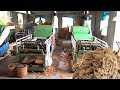 Coconut Coir Ropes making machine | Craft Touch Naariyal rope make a Process in Small Scale IndustrY