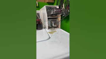 Speed Queen is literally never a let down