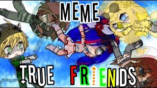 True friends meme