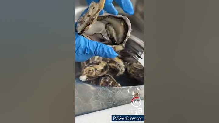 日本頂級生蠔【生食級】超大飽滿多汁日和獨家
