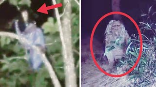 ORANG BUNIAN & KUNTILANAK DI POHON ! 7 PENAMPAKAN HANTU TERJELAS DAN SERAM YANG BIKIN MERINDING