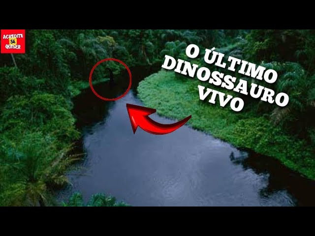 O ULTIMO DINOSSAURO AINDA VIVO MOKELE MBEMBE SANTIAGO 513, O VOO