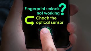 Fingerprint Unlock Not Working? Check the Optical Sensor