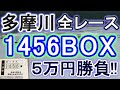 【競艇・ボートレース】多摩川で全レース「1456BOX」賭けてみた！！