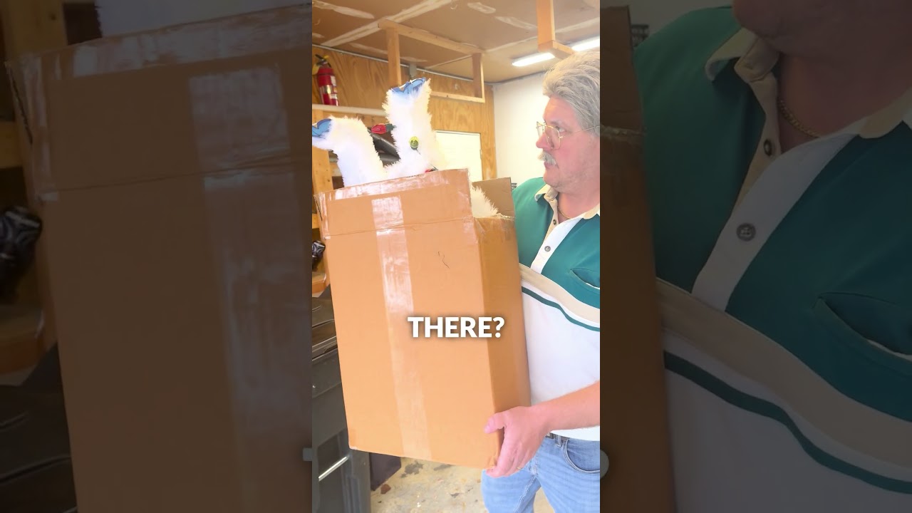 PUT AWAY CHRISTMAS DECORATIONS