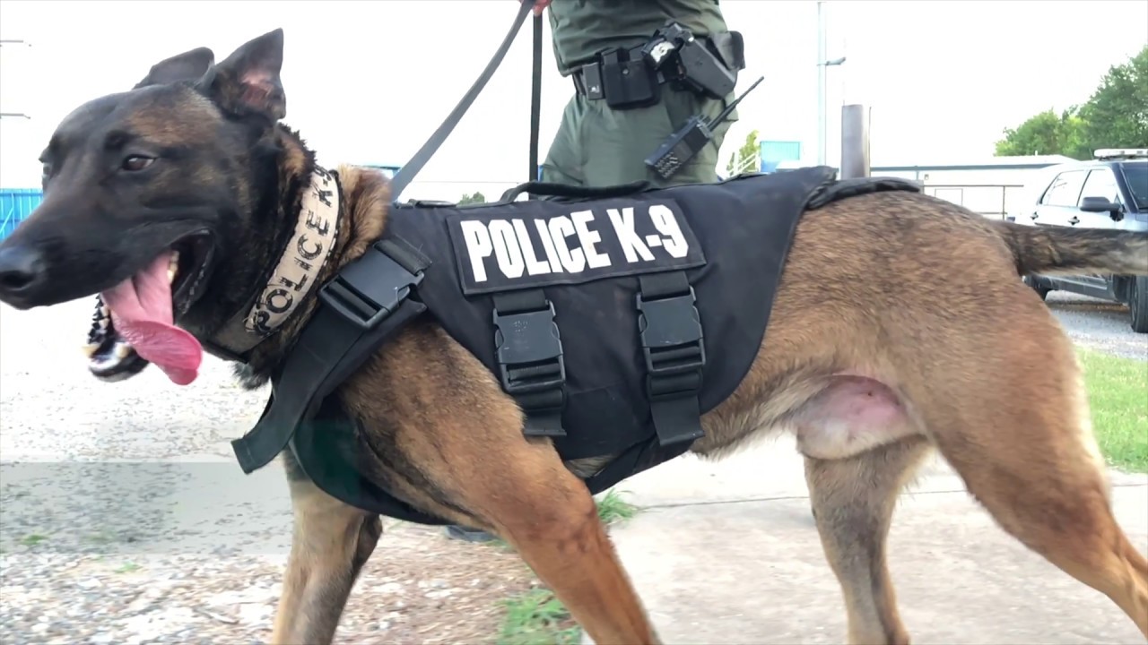 Spotlight Dibble Police Dept. YouTube